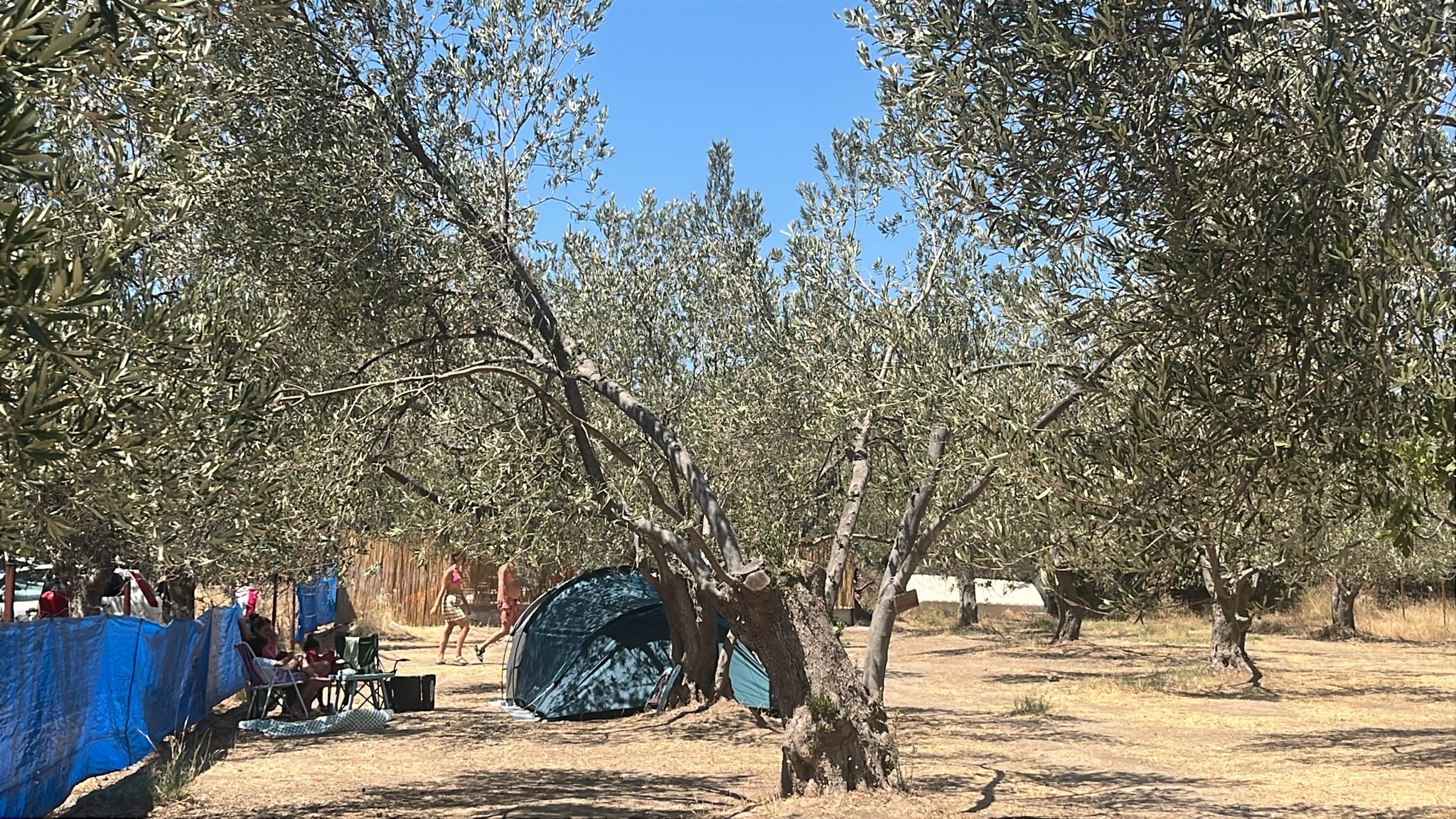 Sincap Kamp - Fotoğraf 5