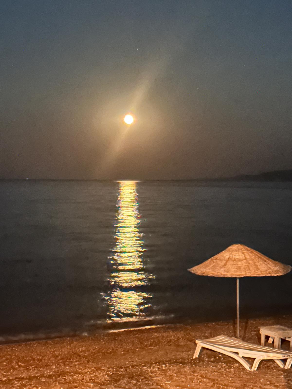 Molivos Camping - Fotoğraf 2