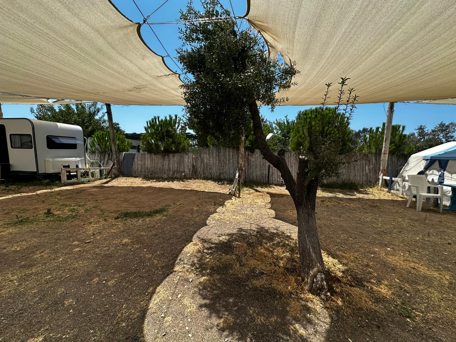 Rüzgar Camping & Restaurant - Fotoğraf 2