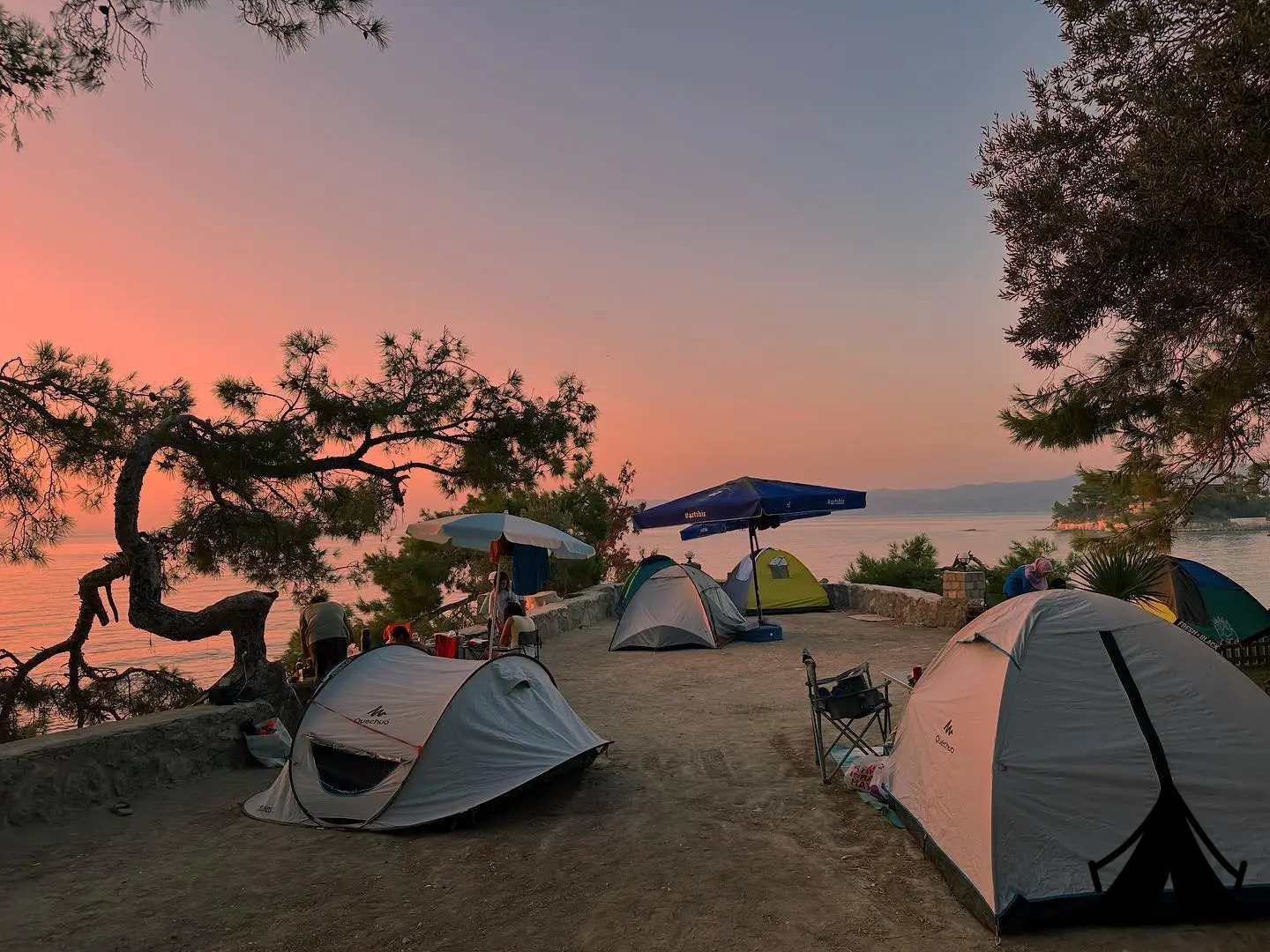 Çam Kamping Fotoğrafı