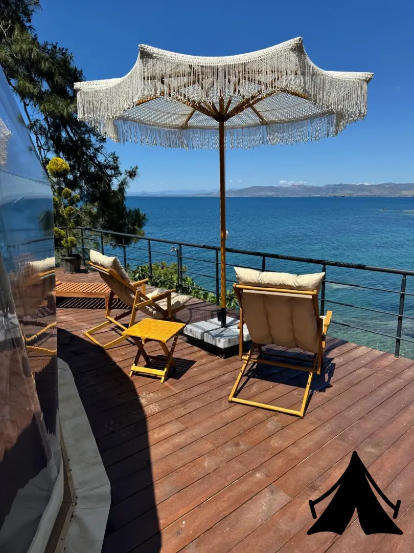 Çam Kamping Fotoğrafı