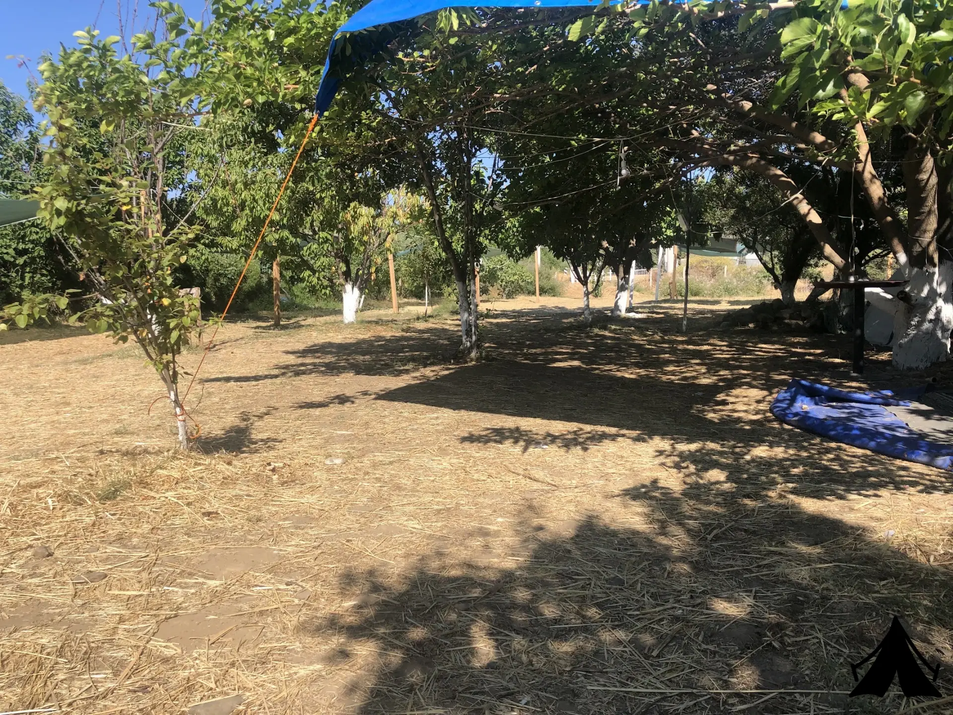 Almira Camping Cafe Fotoğrafı