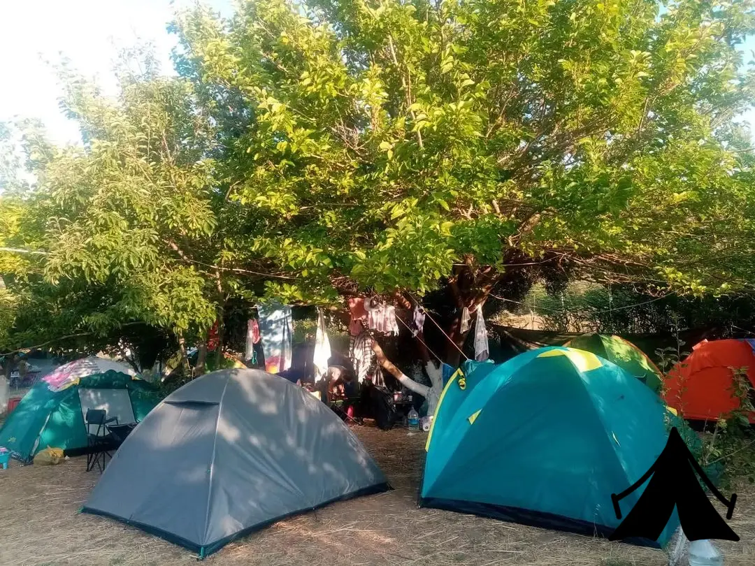 Almira Camping Cafe Fotoğrafı