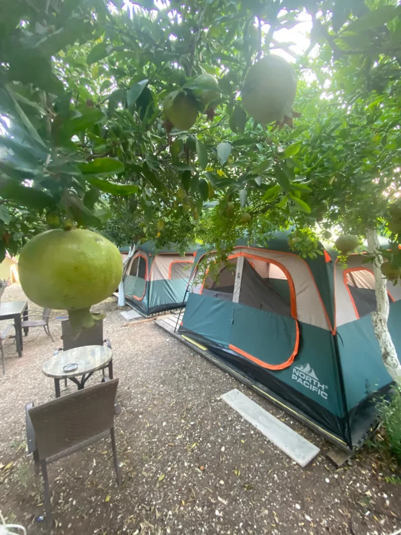 Adrasan Aden Camping &amp; Cafe Fotoğrafı