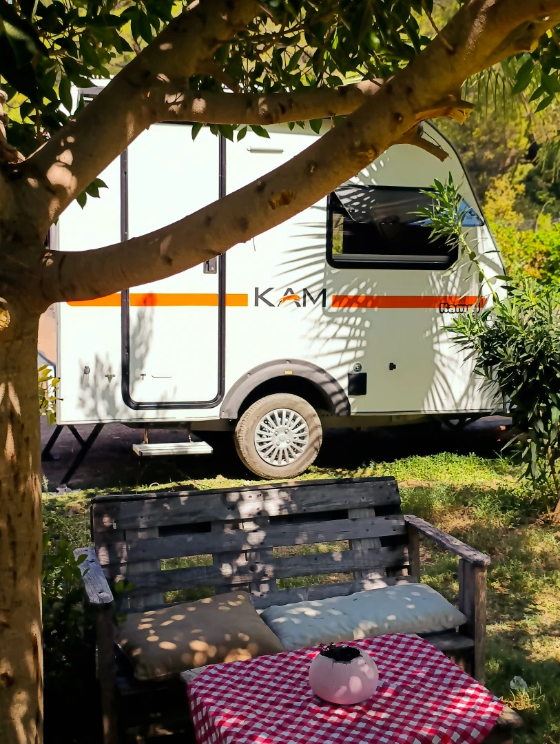 Kampyer Fotoğrafı - 1000067672
