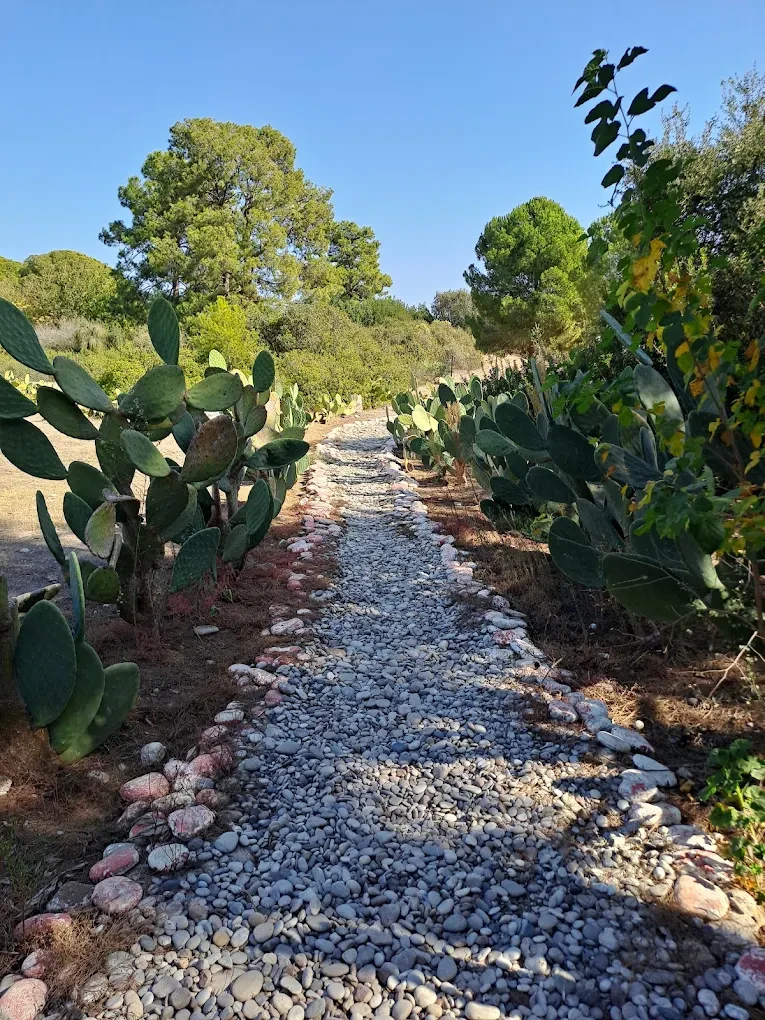 Denizdibi Camping Fotoğrafı