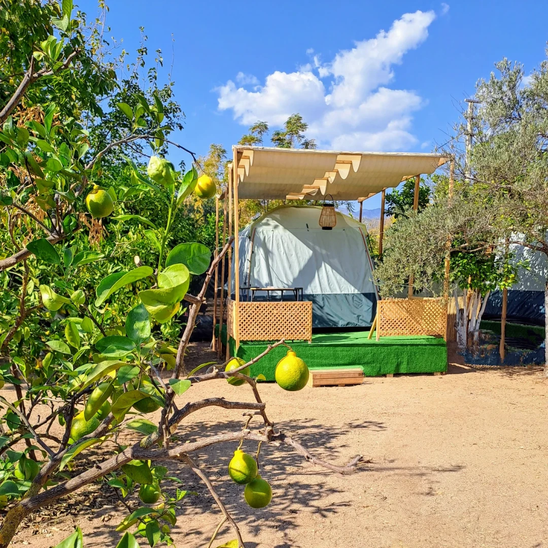 Denizdibi Camping çadırı