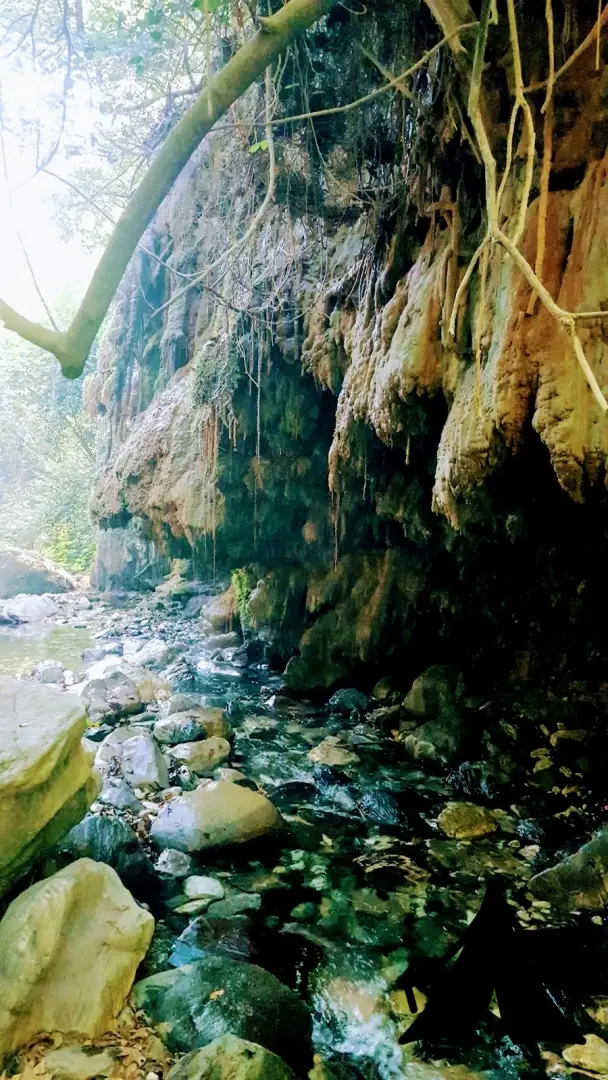 Ağlayan Şelale Kamping Fotoğrafı