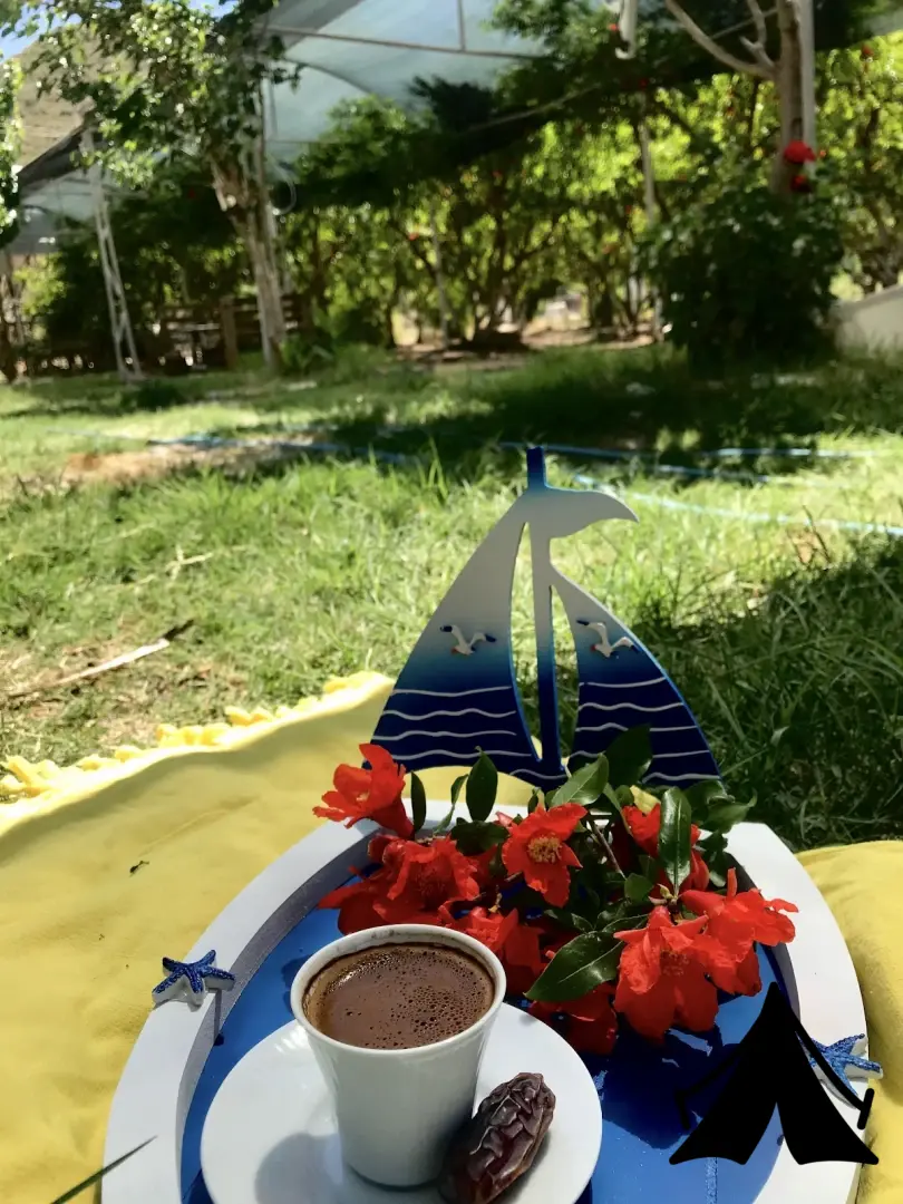 Ayyıldız Camping Fotoğrafı