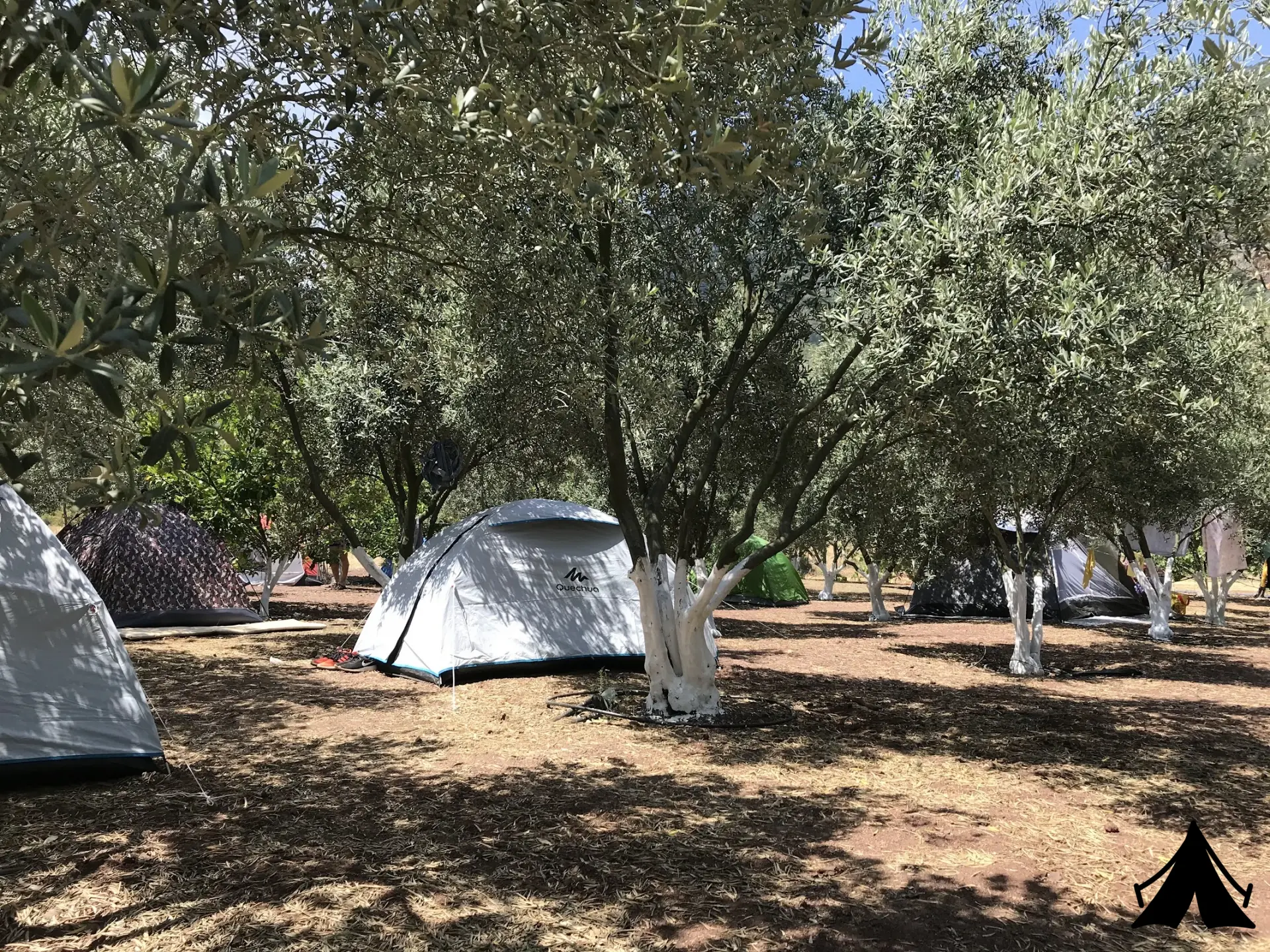 Zeytin Camping ve Apart Evleri Fotoğrafı
