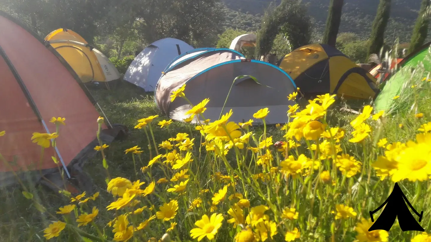 Lykia Camping Fotoğrafı