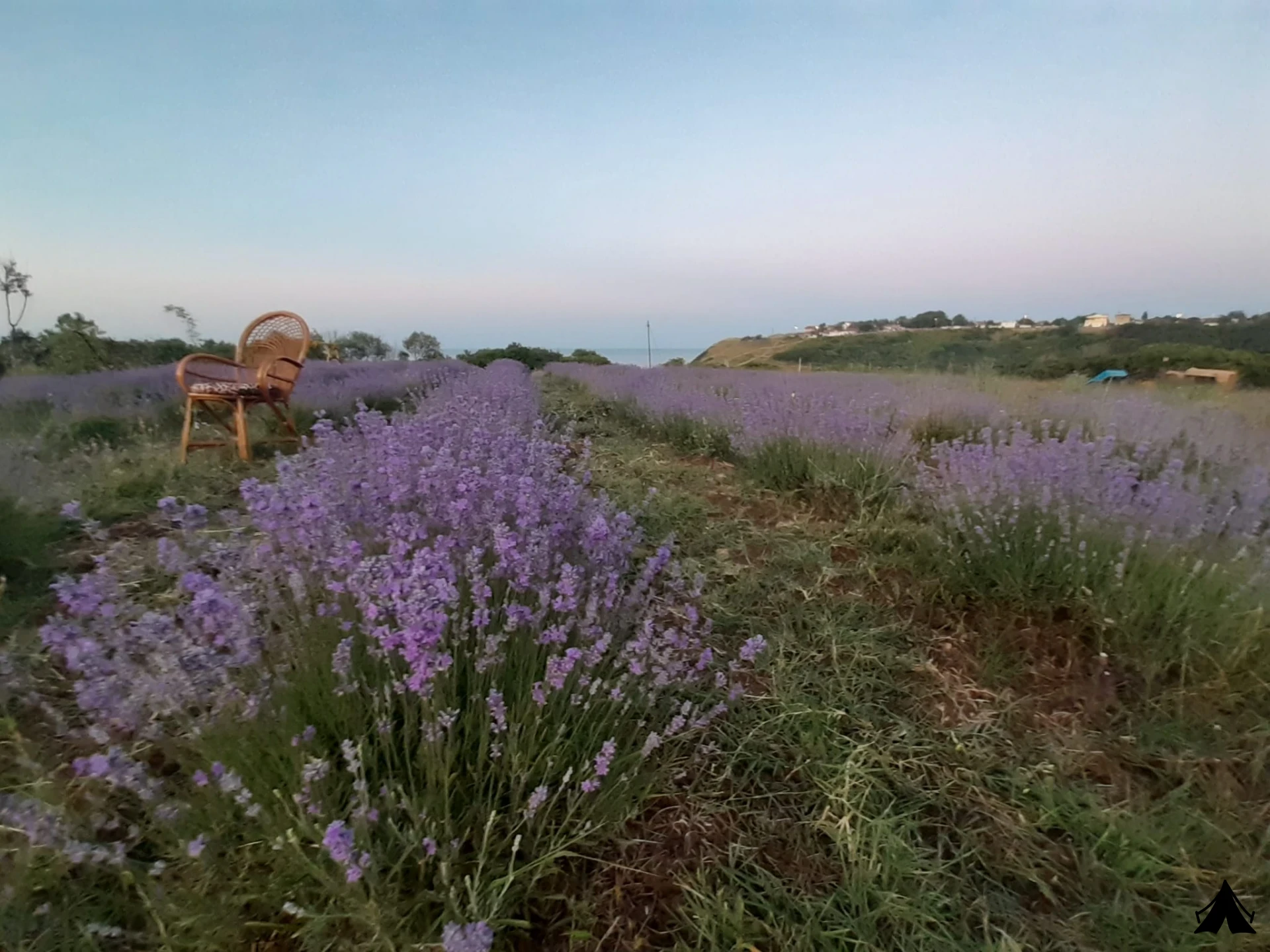 41b04537-263d-47d0-9d6a-67c445336f41