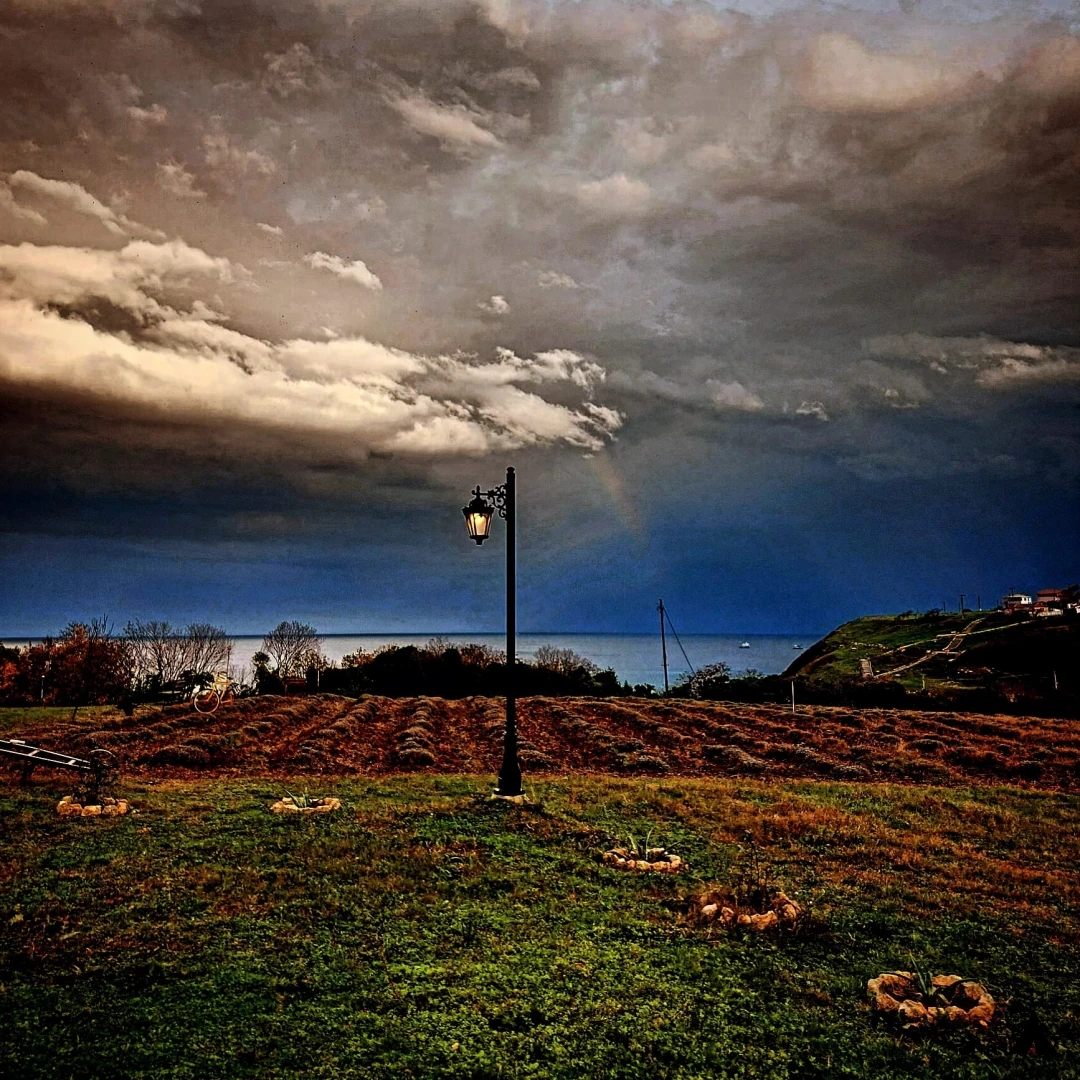 94761f83-72c6-4e6b-a785-ca8b595d3a7f