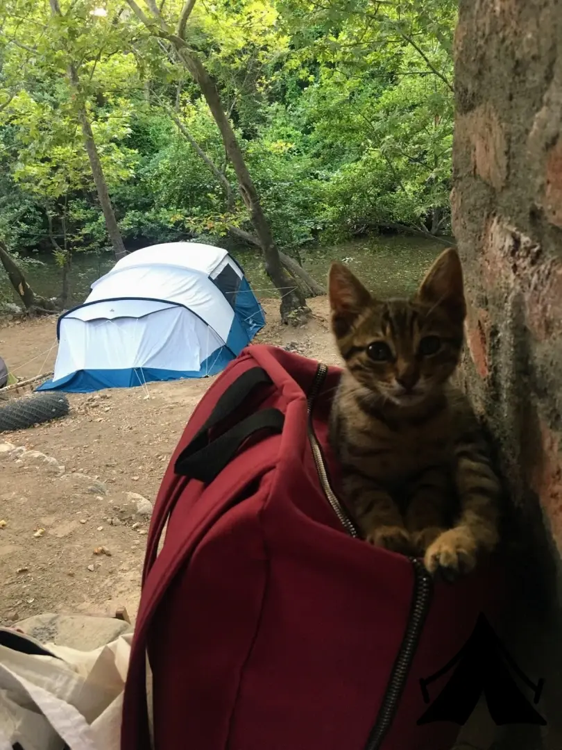 Arden Kamp Fotoğrafı