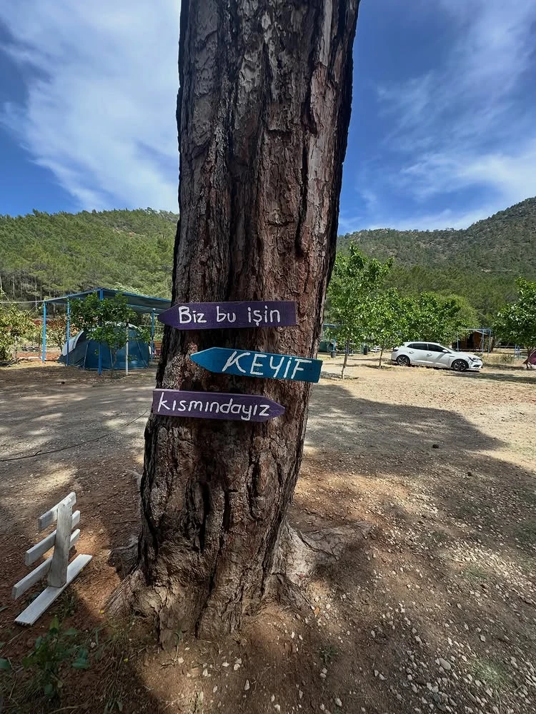 Adrasan Camping ağaç yön tabelası