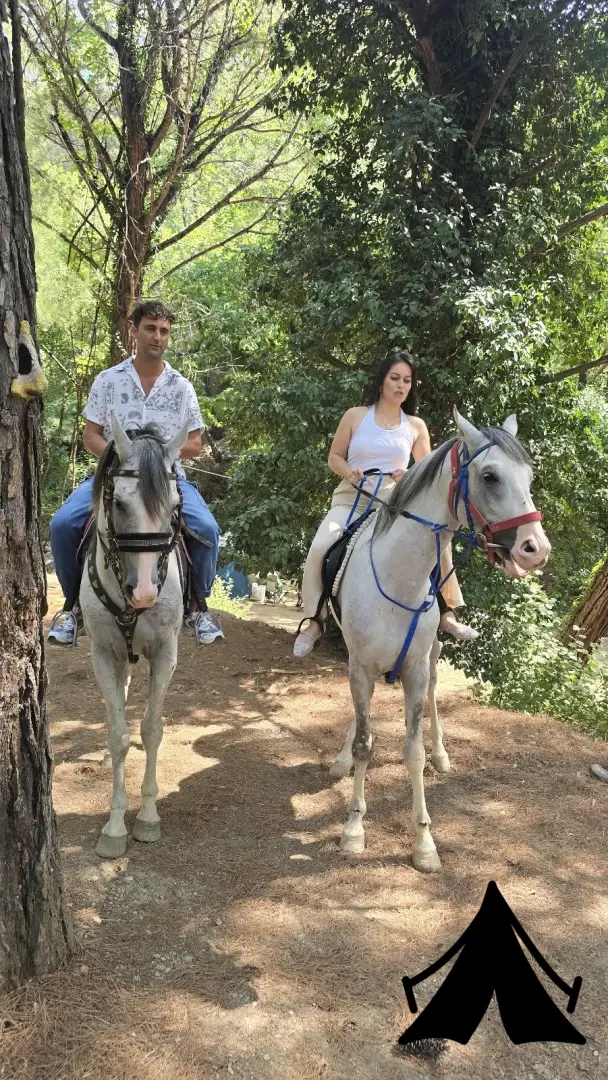 Çelikbey At Çiftliği Konaklama &amp; Kamp Konaklama Fotoğrafı