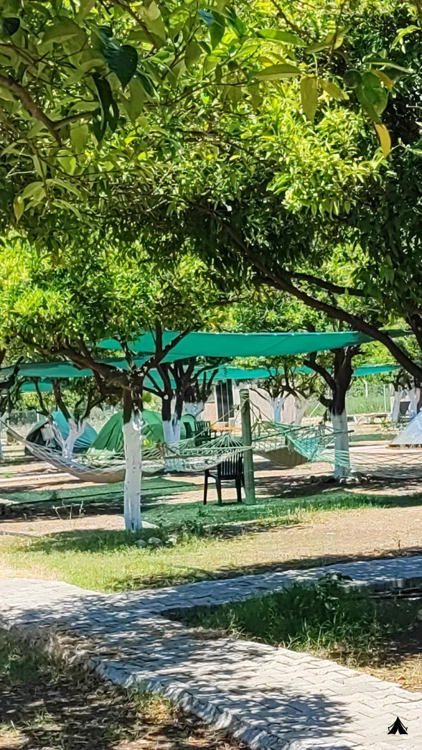 Kamp Alanı