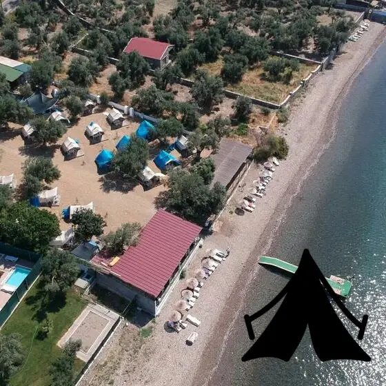 Kamp OLive Fotoğrafı