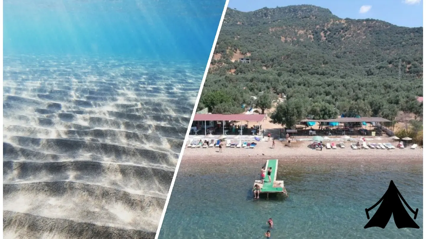 Kamp OLive Fotoğrafı