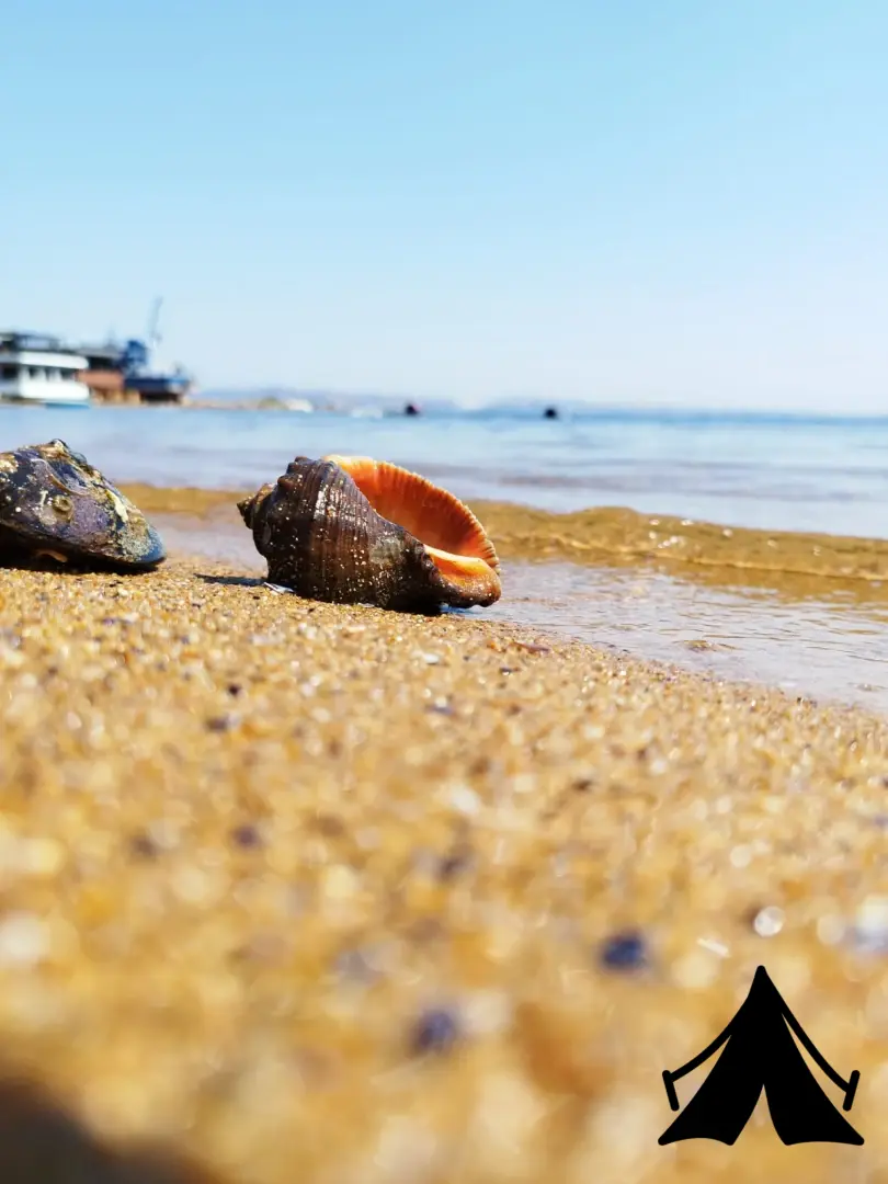 Tatlısu Kamping Fotoğrafı