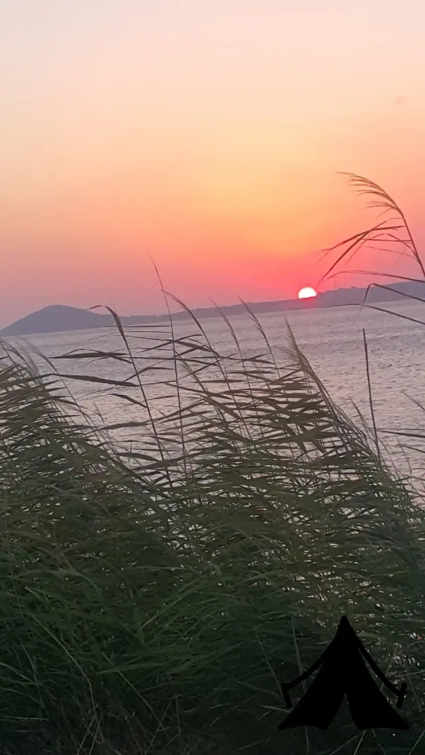 Çamlaraltı Camping Fotoğrafı