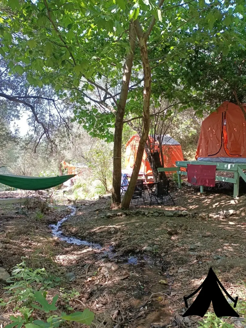 Bakla Camping Fotoğrafı