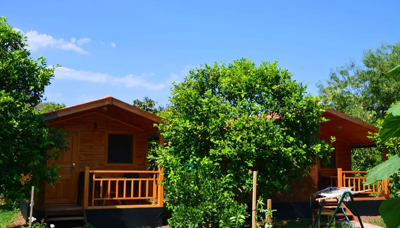 Lemon Garden Lodge - Fotoğraf 3