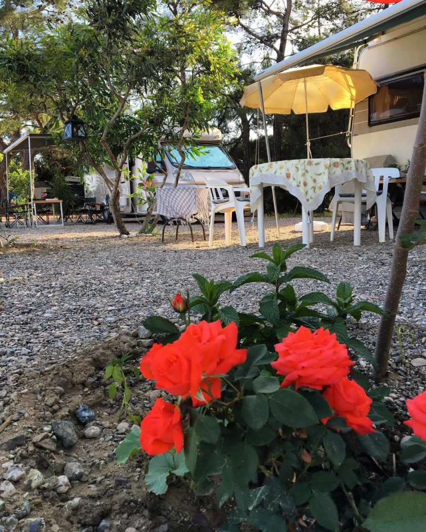 Karavan kamp alanı ve çiçekler