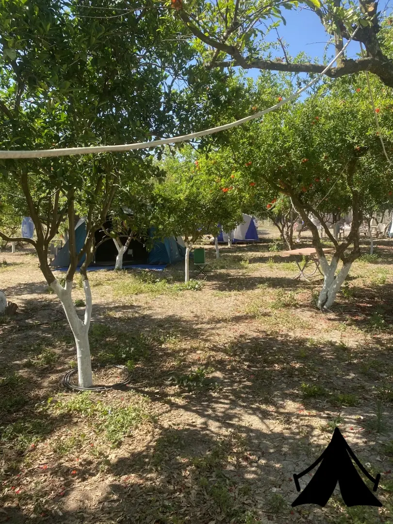 Yeşil Vadi Camping Fotoğrafı
