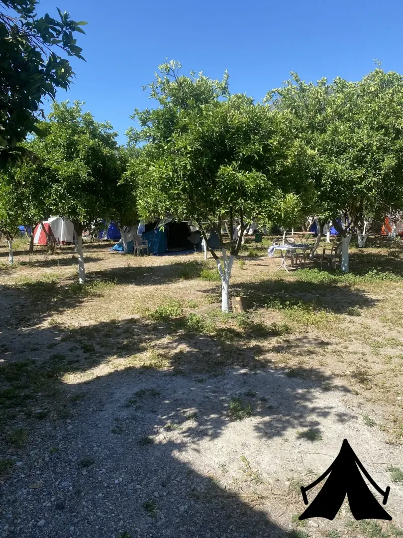 Yeşil Vadi Camping Fotoğrafı