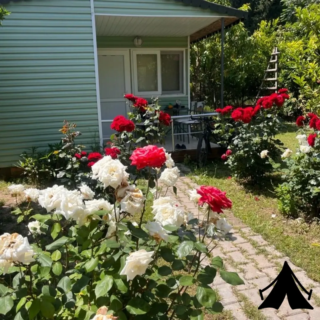 Çıralı Saklı Bahçe Pansiyon &amp; Camping Fotoğrafı