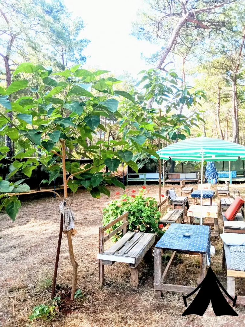 Korsan Koyu Bobi Kamping Fotoğrafı