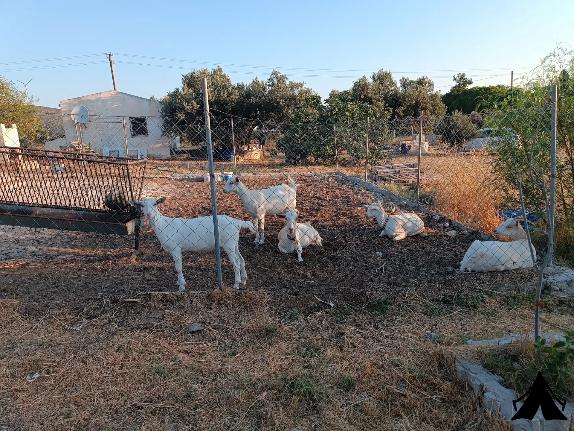 Alacati camping Fotoğrafı