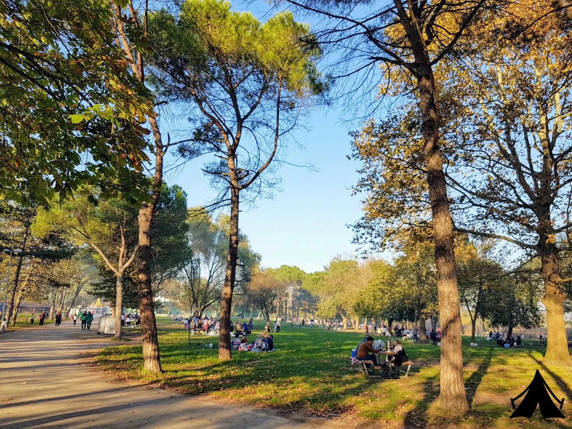 Seka kamp piknik alanı Fotoğrafı