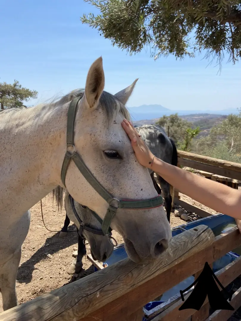 Kundalini Glamping Fotoğrafı