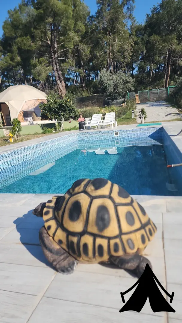 Yeşilçam Glamping Fotoğrafı