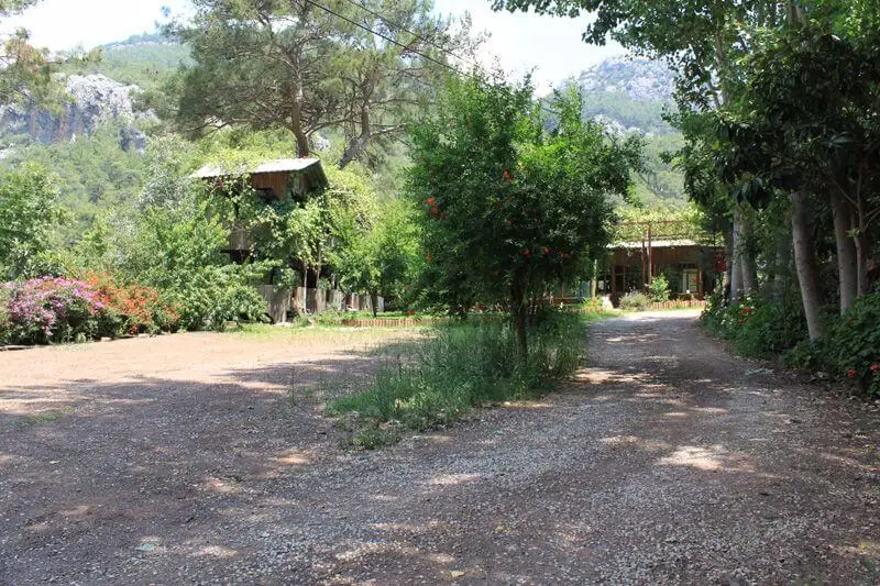 Olympos Çamlık Pansiyon - Görsel 1