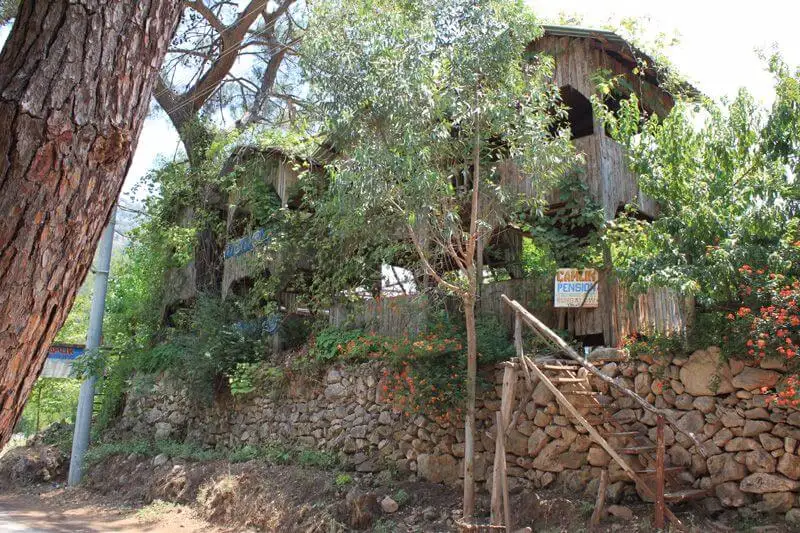 Olympos Çamlık Pansiyon - Fotoğraf 3