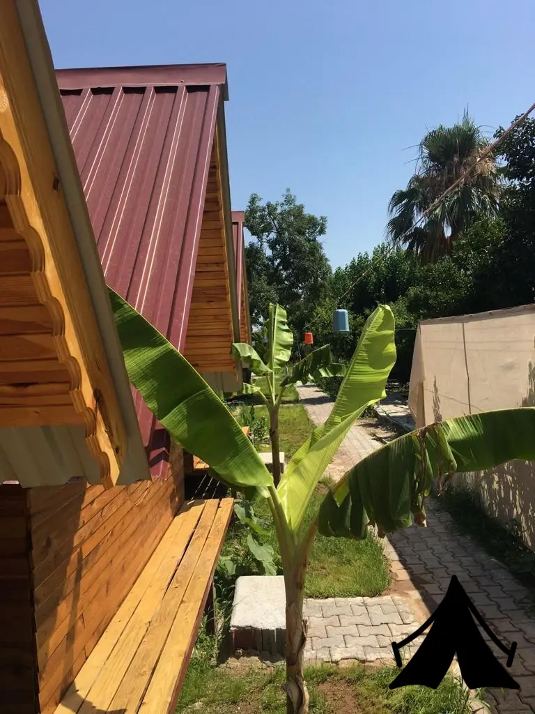 Kamp yeri