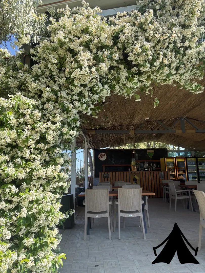 Güneş Tatil Köyü Fotoğrafı