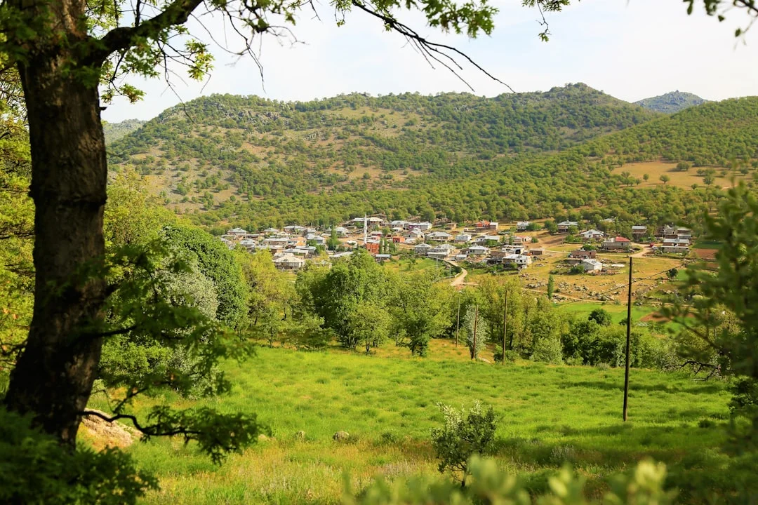 Milli Park ve Tabiat Parklarında - Görsel 1