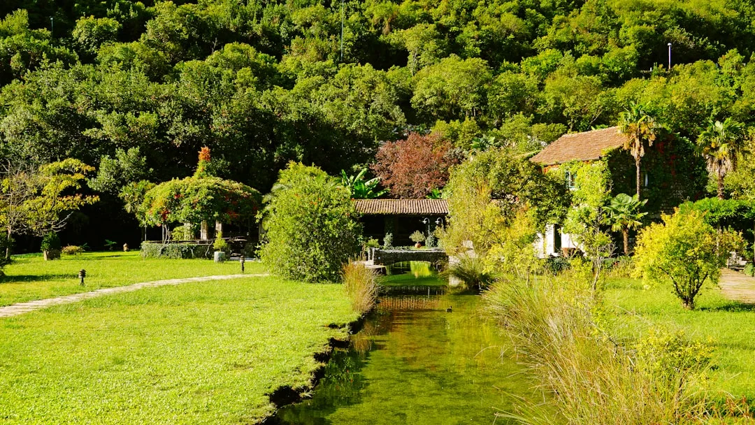 Milli Park ve Tabiat Parklarında - Görsel 2