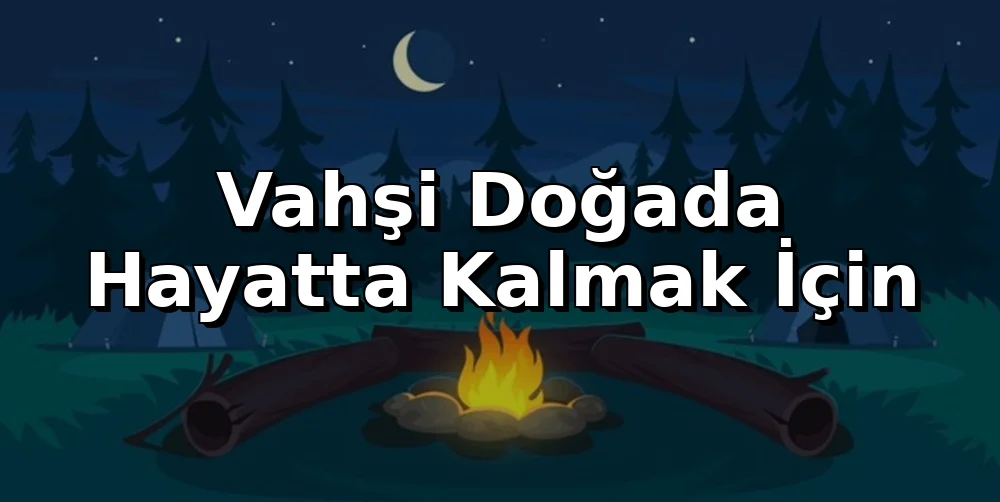 Vahşi Doğada Hayatta Kalmak İçin Su Arıtma Stratejileri