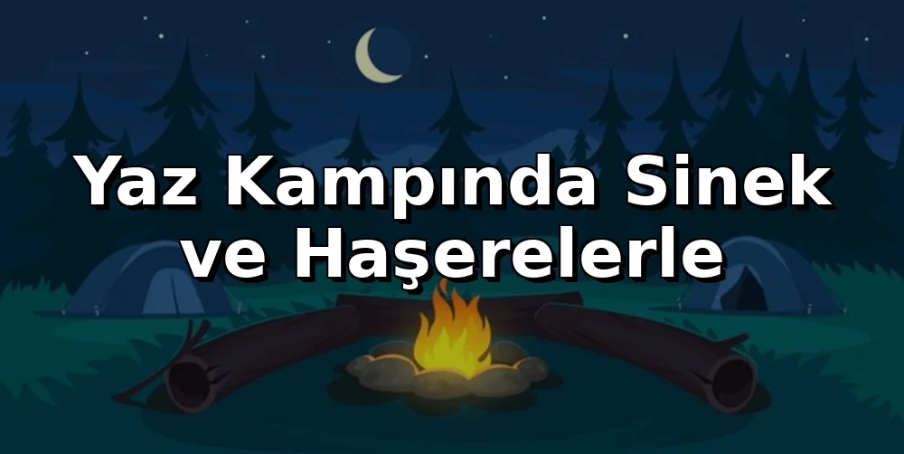 Yaz Kampında Sinek ve Haşerelerle Mücadele Teknikleri