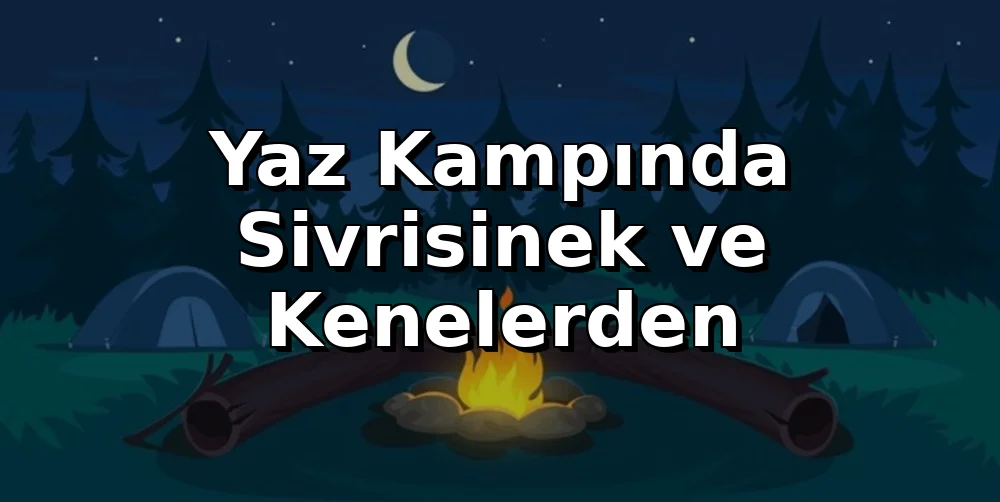 Yaz Kampında Sivrisinek ve Kenelerden Korunma Yöntemleri