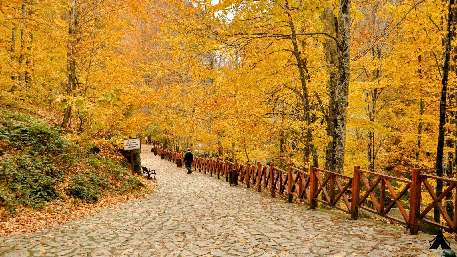 Suuçtu Tabiat Parkı — fotoğraf 3