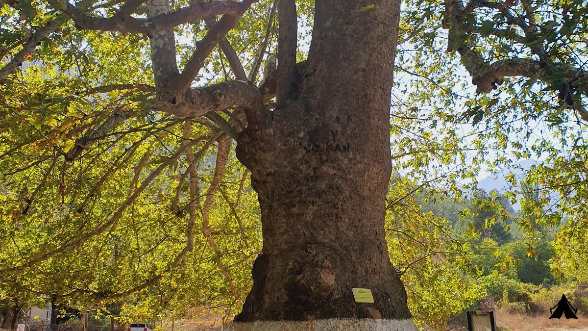 Belemedik  Tabiat Parkı — fotoğraf 4