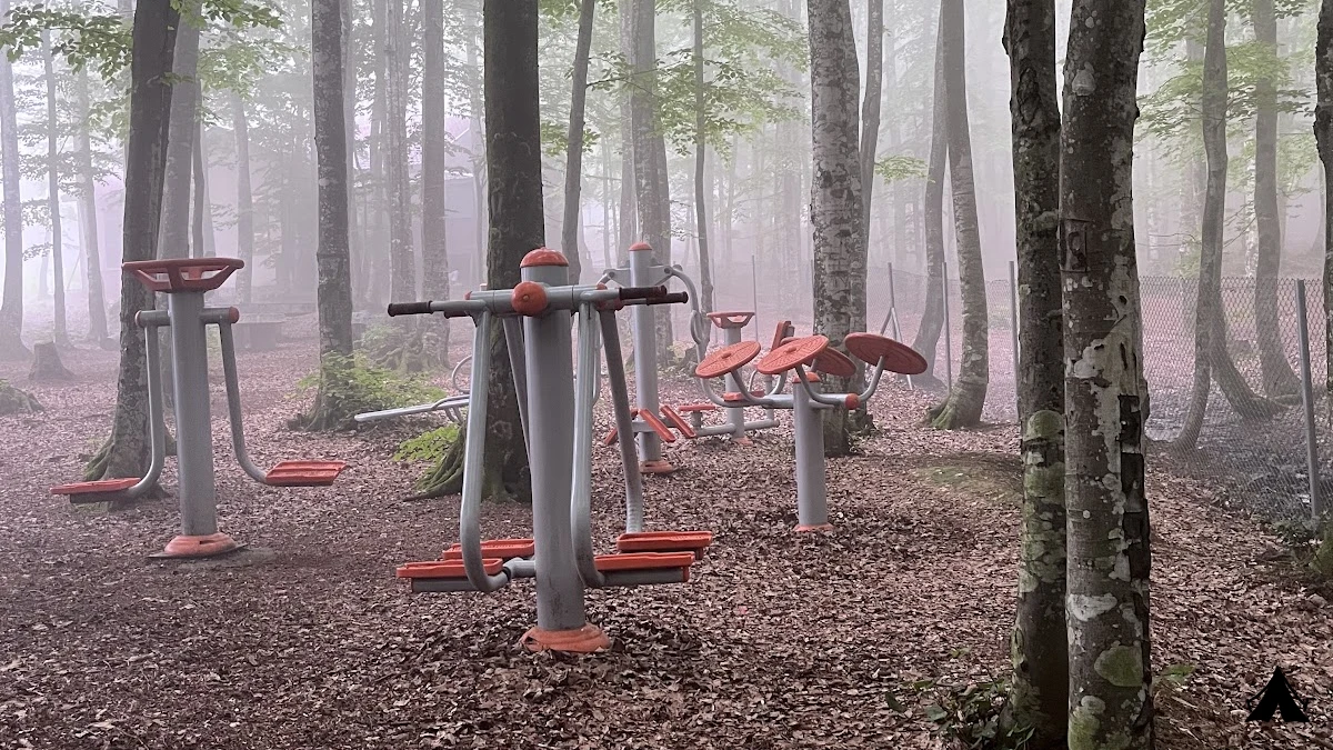Eriklitepe Tabiat Parkı — fotoğraf 5