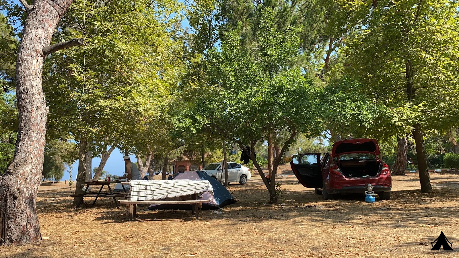 Erdemli Çamlığı ( Talat Göktepe ) Tabiat Parkı — fotoğraf 2