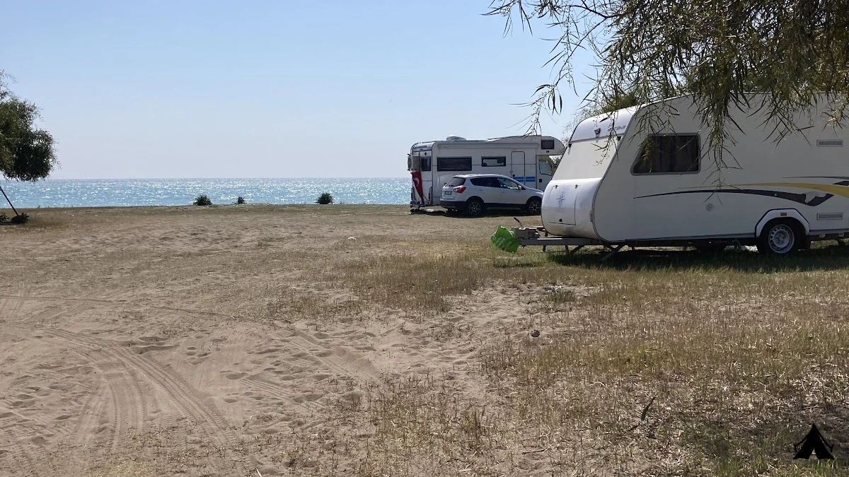 Erdemli Çamlığı ( Talat Göktepe ) Tabiat Parkı — fotoğraf 4